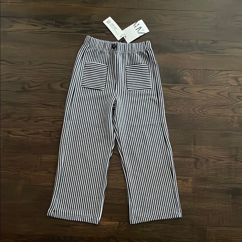 Zara Black and White Striped Pants